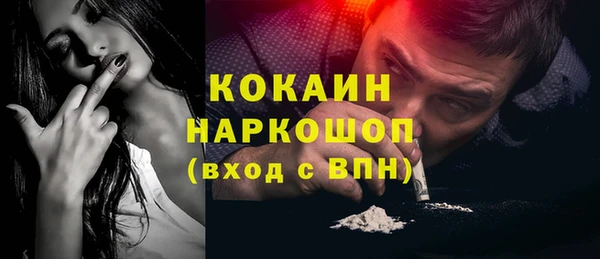 индика Нефтекумск