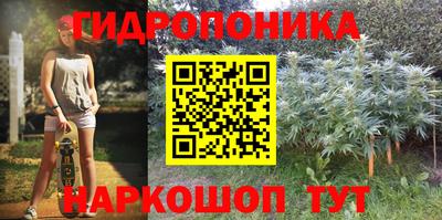 мяу мяу мука Абакан