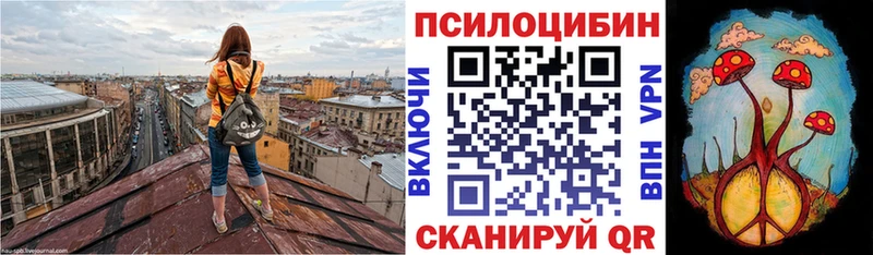 мега tor  Рассказово  Псилоцибиновые грибы MAGIC MUSHROOMS 