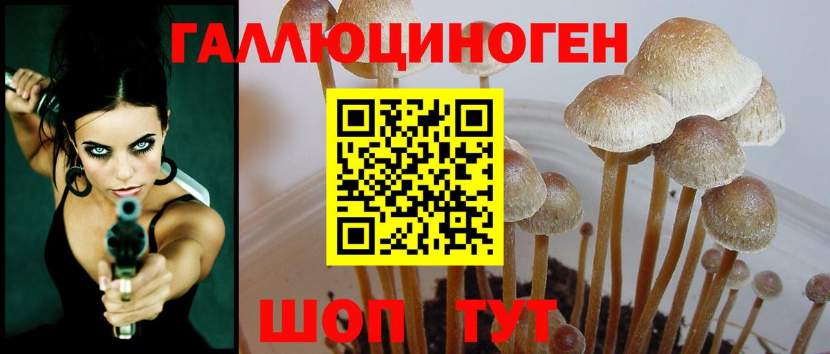 Галлюциногенные грибы Cubensis Рассказово