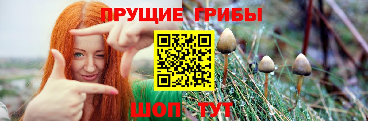 Псилоцибиновые грибы Magic Shrooms  Вход с VPN  Рассказово  Псилоцибиновые грибы мухоморы 